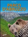 Parco d'Abruzzo. I monti dell'orso e del camoscio Parco d'Abruzzo. I monti dell'orso e del camoscio